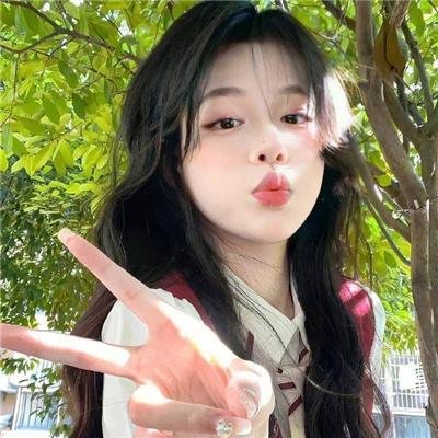太阳花